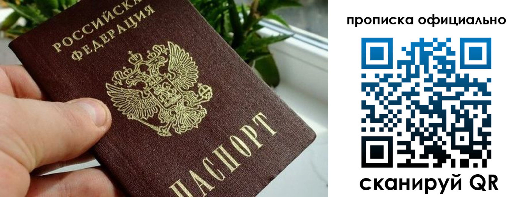прописка поиск в Фролово